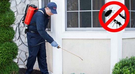 Datça Tahtakurusu İlaçlama böcek ilaçlama ve haşere kontrolü — ilaclama-tr.com